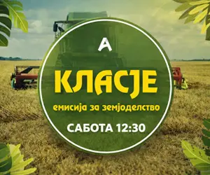 Реклама