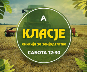 Реклама