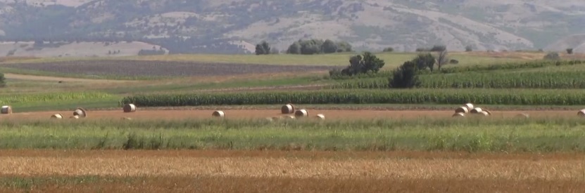 Европскиот земјоделски бунт се шири и во Mакедонија: Закани за блокирање на Свети Николе со трактори