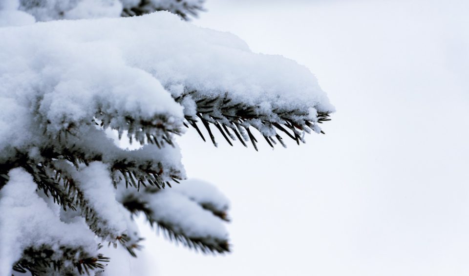 Снег на повисоките места низ Македонија -ЦУК апелира на внимателност поради влошувањето на временските услови